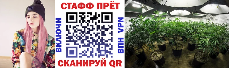 Где можно купить наркотики Нарьян-Мар АМФ Псилоцибиновые грибы Меф Гашиш Марихуана