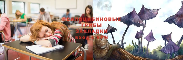 гидропоника Алексеевка