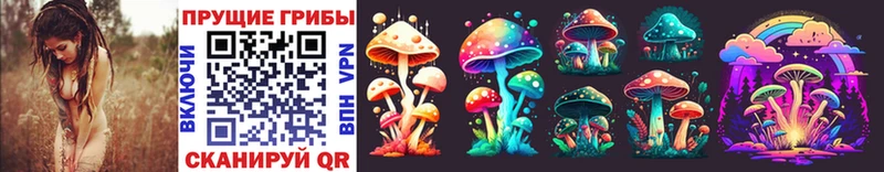 Галлюциногенные грибы MAGIC MUSHROOMS  Нарьян-Мар 