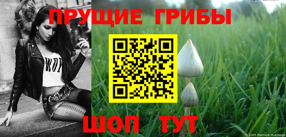 Нарьян-Мар  где купить наркоту  Вход с VPN  Псилоцибиновые грибы GOLDEN TEACHER 