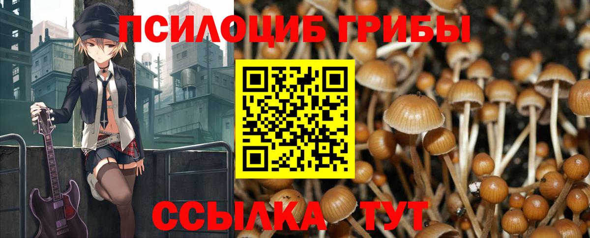 Галлюциногенные грибы мухоморы Нарьян-Мар